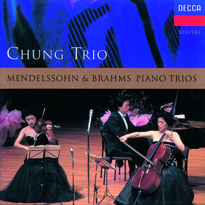 Piano Trio No.1 in D Minor Op.49 MWV Q29:2. Andante con moto tranquillo