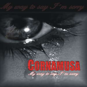 My Way To Say I'm Sorry