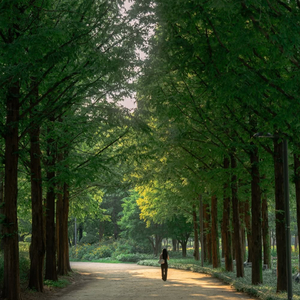 Jj Nanti Pasti Ko Deep Love Mengkane