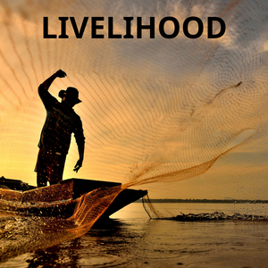 LIVELIHOOD