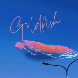 夏天不太适合说再见（Summer Camp）