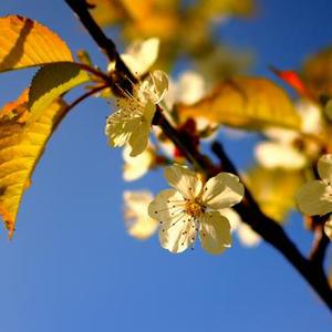 感动的瞬间 (纯音乐)