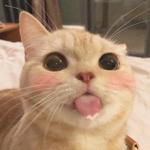 舵-why you look sad（余丸 remix）