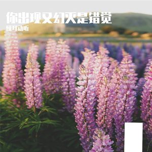 你出现又幻灭是错觉