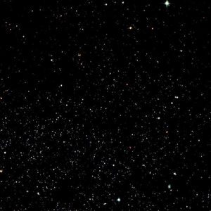 开花（Prod.ZURI）