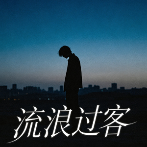 流浪过客