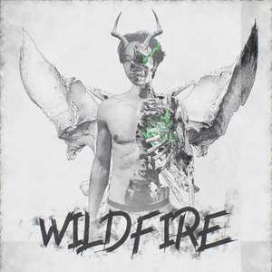 Wild Fire