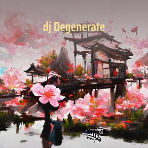Dj Degenerate