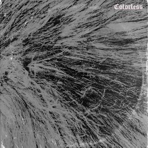 Conspirators (Save The Admiral 2011)