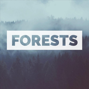 Forests