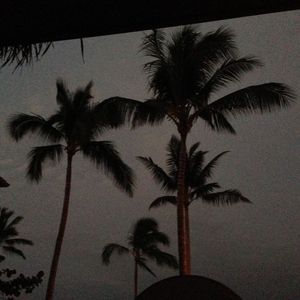 "1000 Blunts" 人声采样孟菲斯 X $uicideboy$ X 揽佬 Type Beat