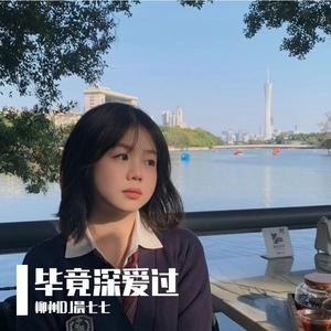 柳州DJ晨七七-毕竟深爱过DJ版