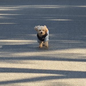 有些痛藏得更深