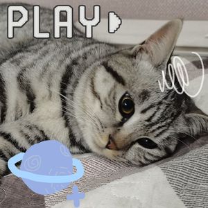 你怎么知道风是来找你的，万一不是怎么办