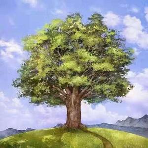 总有一天你会出现在我身边