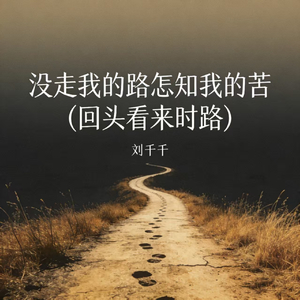 没走我的路怎知我的苦 (回头看来时路)