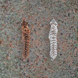 IghtCmon (feat. lil rio)