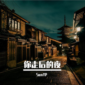 你走后的夜