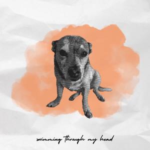 Swimming Through My Head