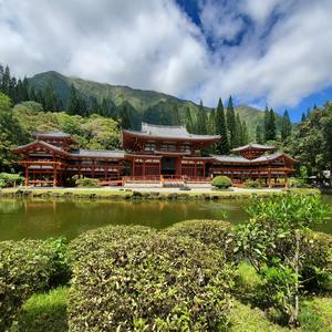 Katsumotos Place