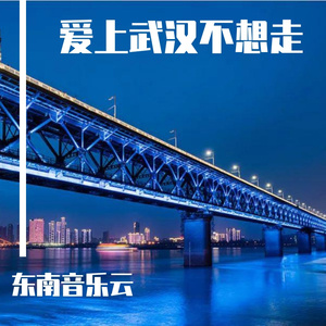 爱上武汉就不想走