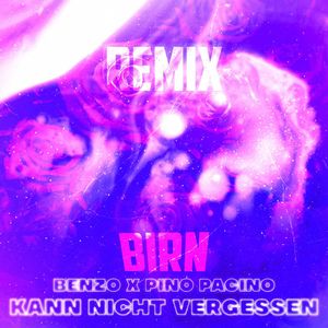 Kann nicht vergessen (Remix Birn)