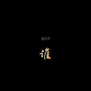 谁(抖音DJ版)