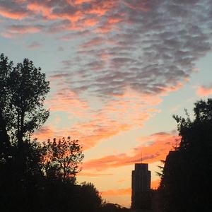 Qualcosa D'Amaro (feat. Maronna)