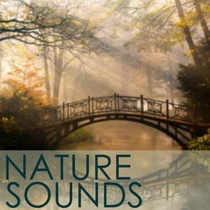 Natute Sounds (Hang Drum)