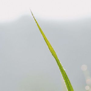蔡健雅-红色高跟鞋