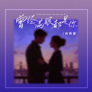 曾经满眼都是你