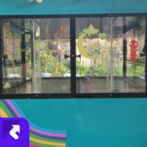 憧憬真挚 (现场)