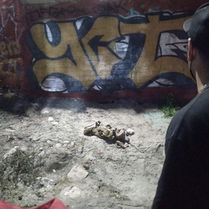 Callejeros