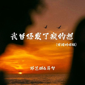 我曾经发了疯的想 (国闽对唱版)