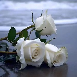 看不透(Prod Daisy Beat)