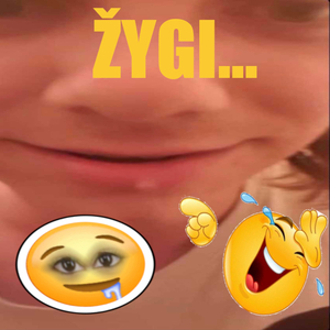 Žygi...
