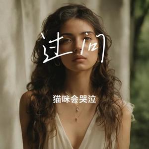 过问 (Cover 李冠霖)