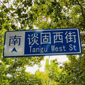 寻游记