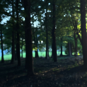 Otxhello-ussim（炸豆腐嘟嘟嘟嘟 remix）