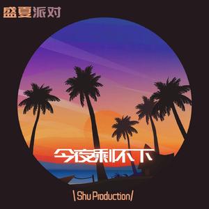 盛夏派对+今夜剩不下