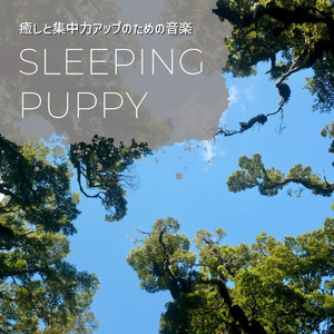 Drifting in the Sea Breeze