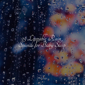 Seagulls on the Beach (Relaxing Ocean Waves)