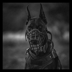 "GANG"黑暗钢琴孟菲斯LIL BABY+BIG30+APMOZART Type Beat