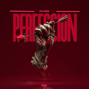 PERFECCIÓN