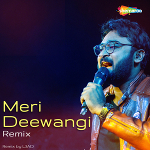 Meri Deewangi (Remix)
