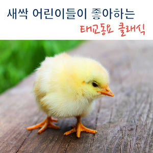 Badarzewska : The Maiden`s Prayer