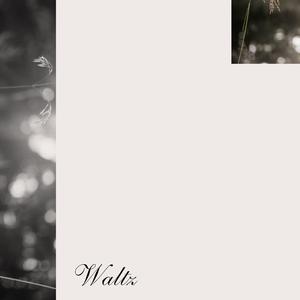 Waltz
