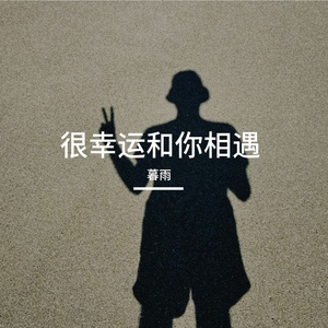 很幸运和你相遇