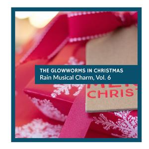 Urban Night Crickets