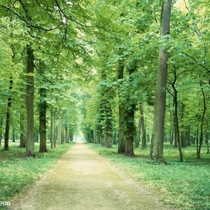 后来的你在哪-档这风